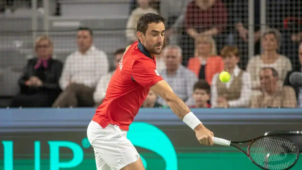 Marin Čilić
