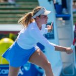 gdje gledati Shnaider Vekić