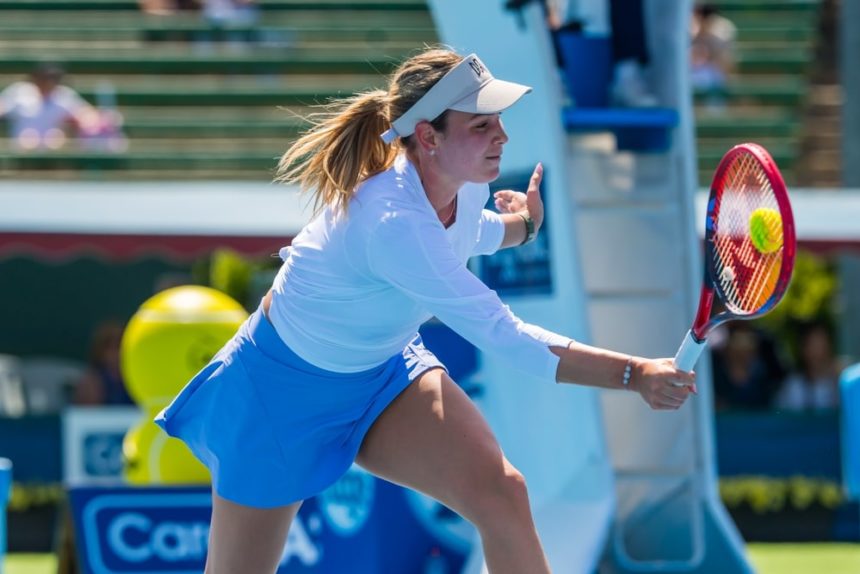 gdje gledati Shnaider Vekić