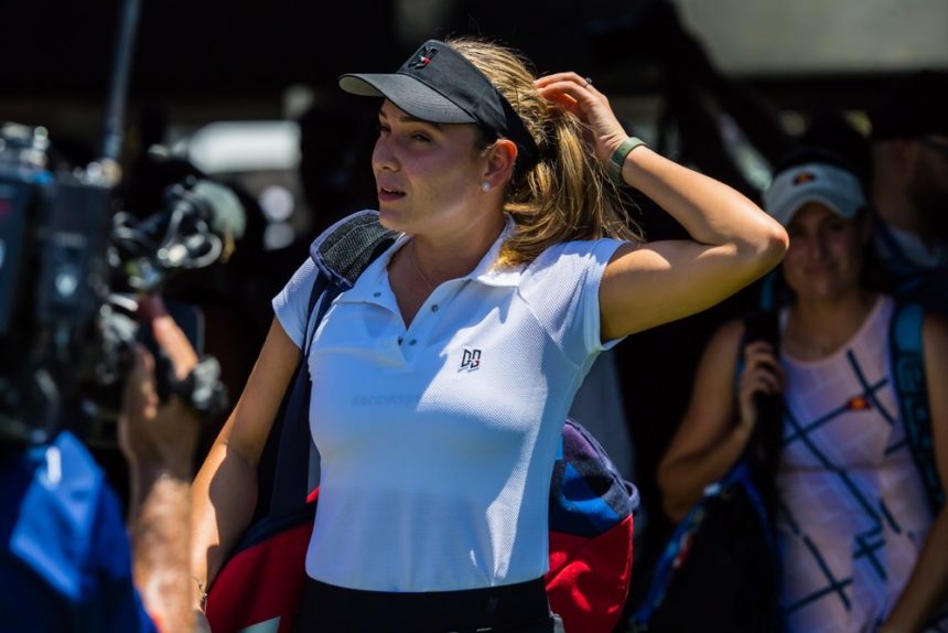 gdje gledati Tomova Vekić