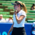 Vekić Zhang prijenos