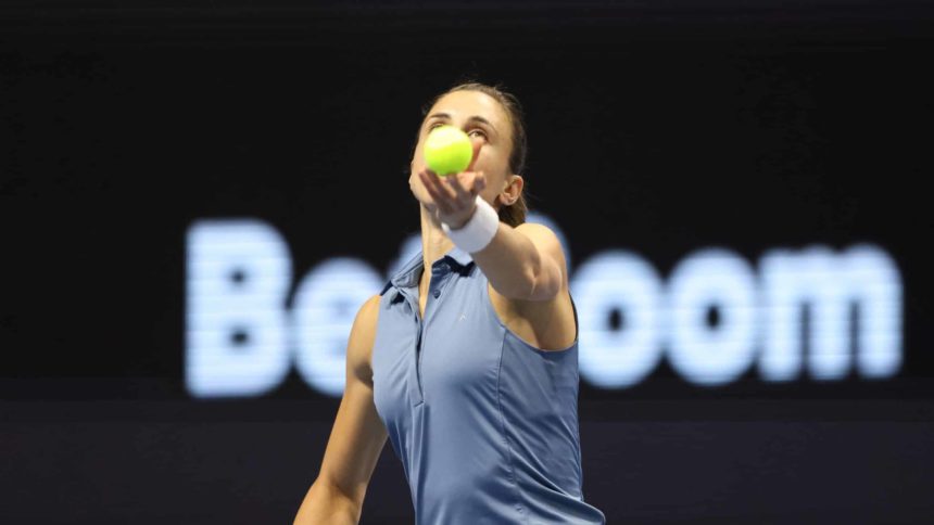 Martić Bouzkova prijenos