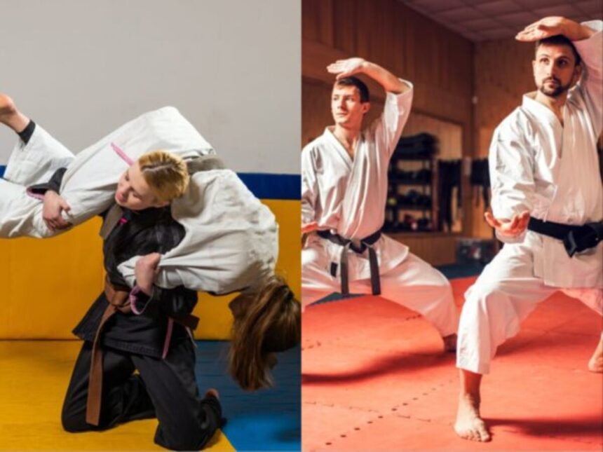 Judo borci u elementu (judo kategorije)