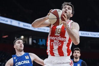 Crvena zvezda Cibona prijenos